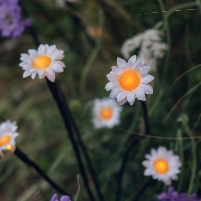 30 LED Daisy Solar Stake Lights