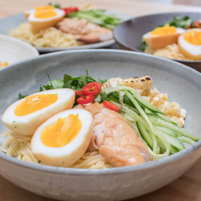 Authentic Japanese Ramen Noodles by Hakubaku