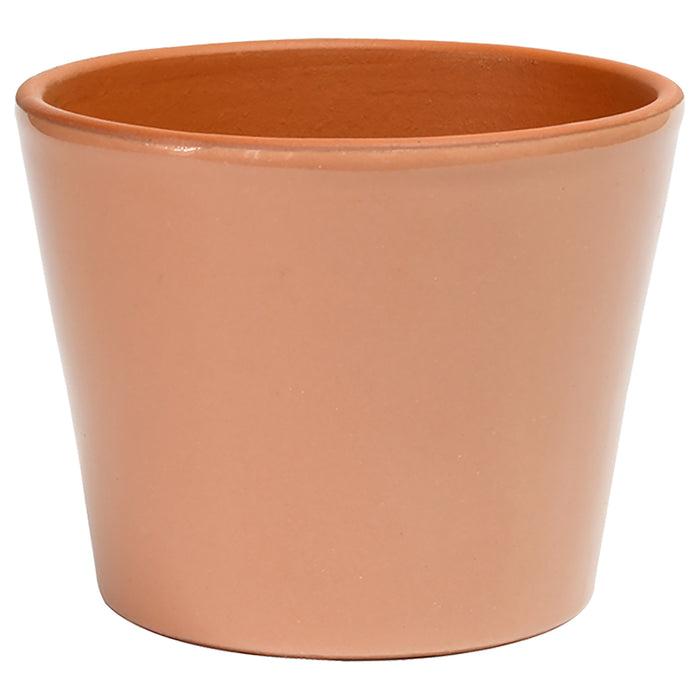 Cabo Pot 3.5" Rose