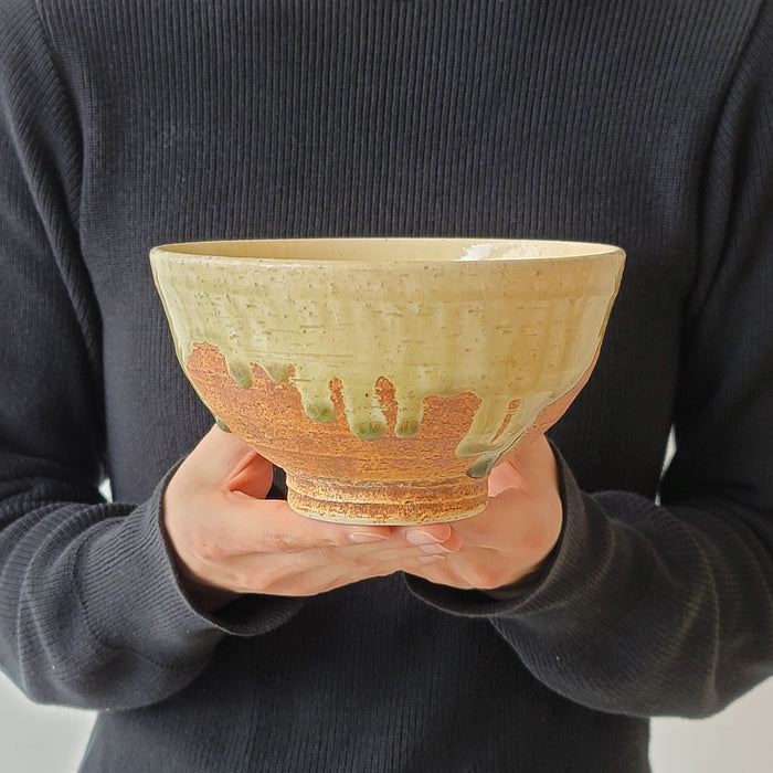 Hai-Yu Nagomi Donburi Bowl