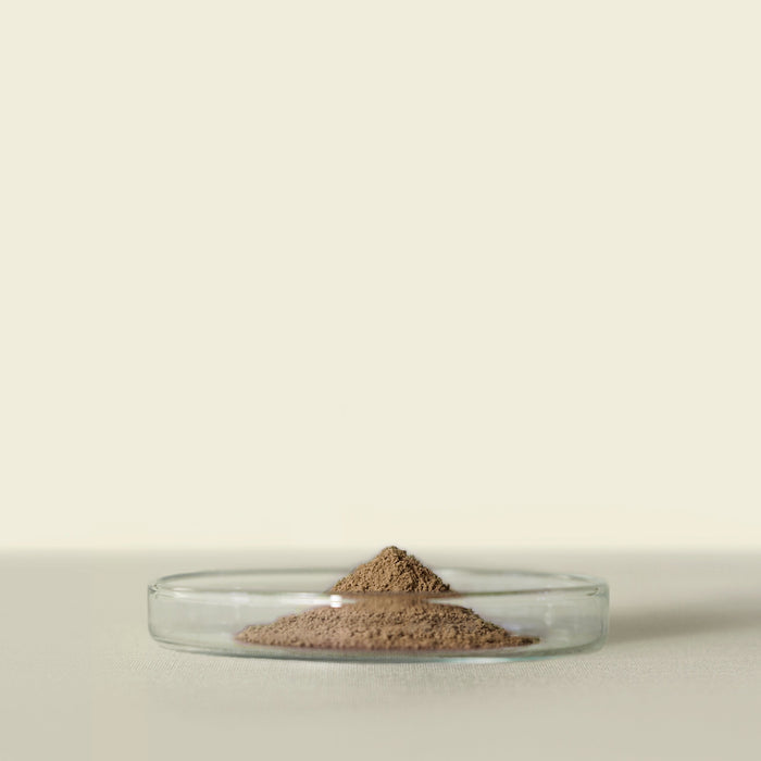 Houjicha Powder