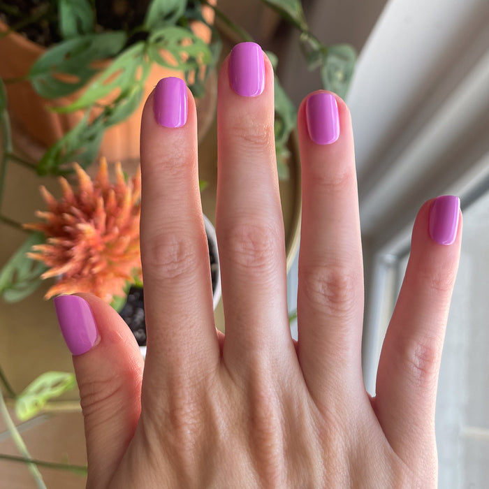 Jam, Please - Press-On | Extra Short | Squoval showing hand with soft magenta false nails indoors by plants and window light
