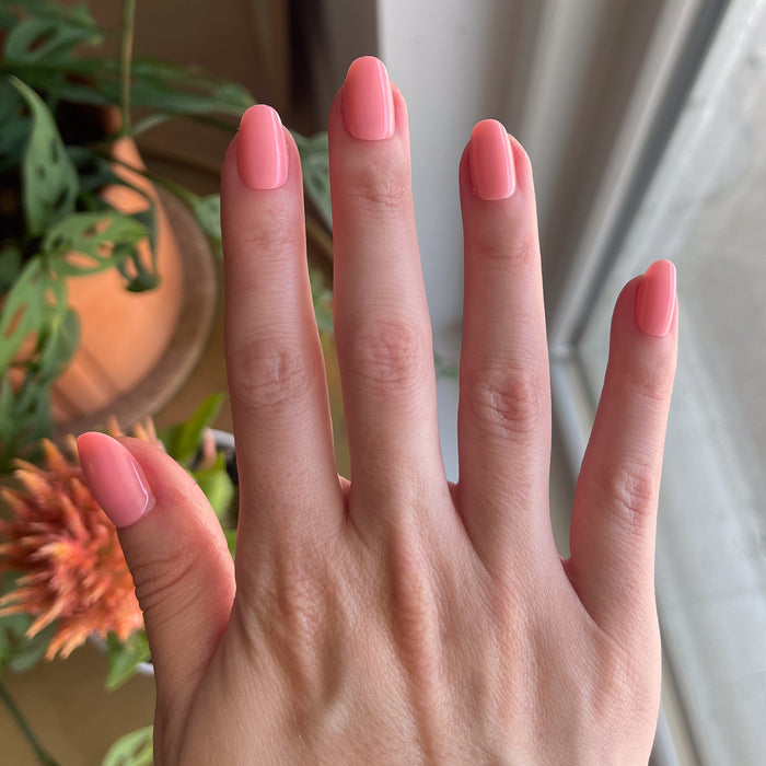 Pen Pal - Press-On | Short | Round showing natural hand with short round bubblegum pink false nails indoors near plants and window light