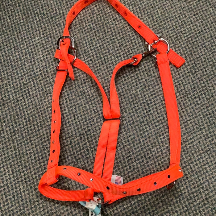 RHN Halter Hunter Orange