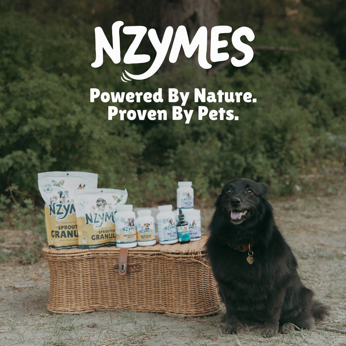 Tracite Minerals for Pets