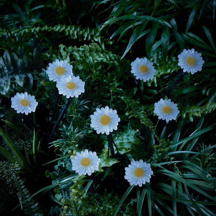 9 Daisy Flower Solar Stake Lights