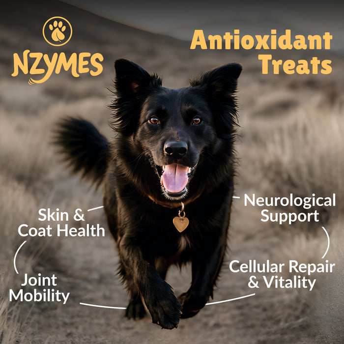 Antioxidant Treats