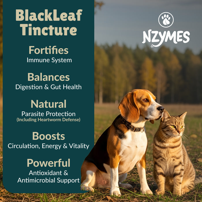 Black Leaf