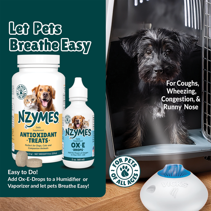 Breathe Easy Bundle