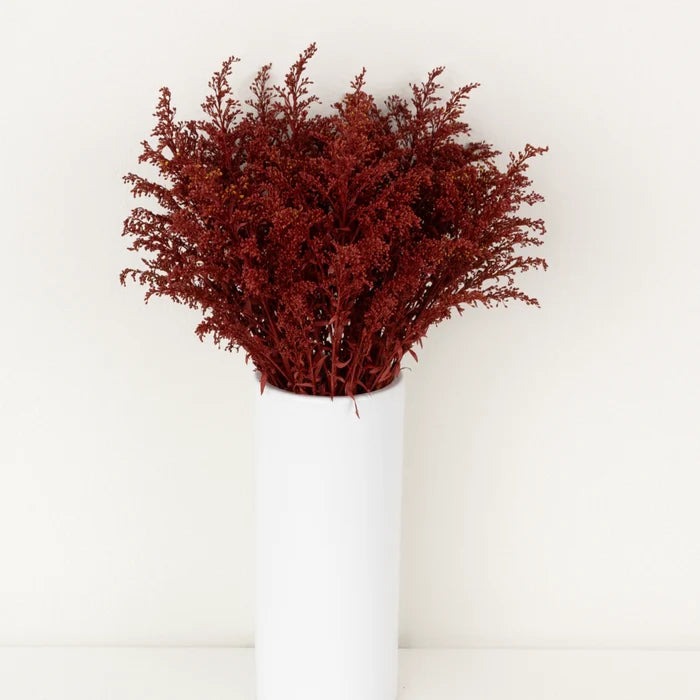 Brown Spice Tinted Solidago Flowers Vase - Image