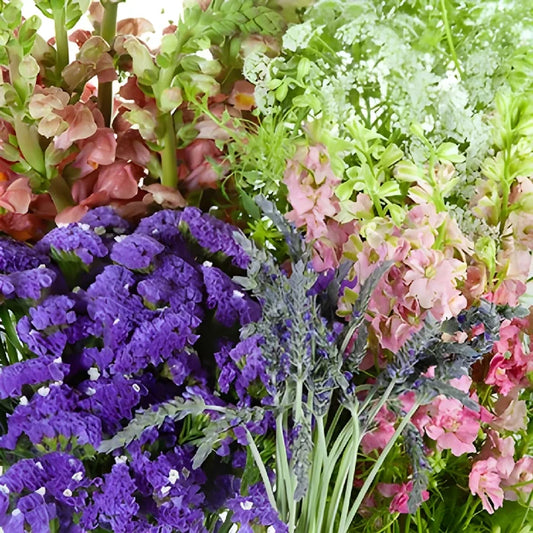 California Wilflower DIY Flower Kit Up Close