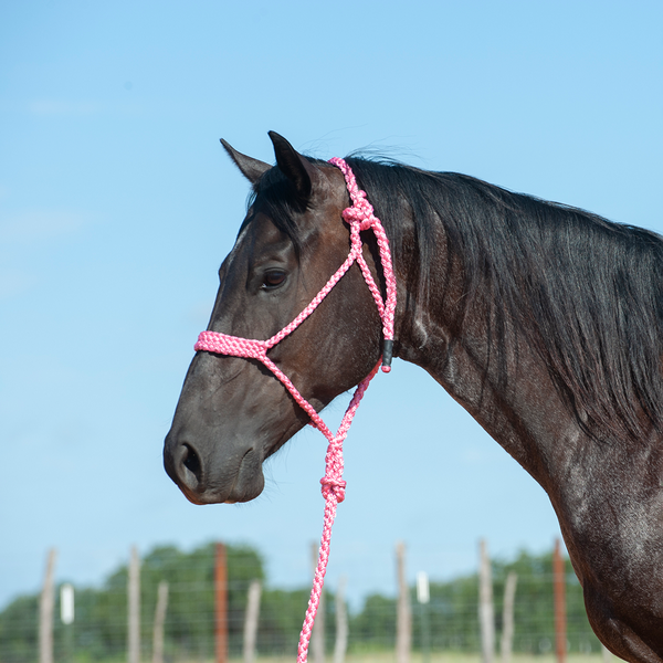 Cashel Flat Braid Halter and Attached Lead Rope