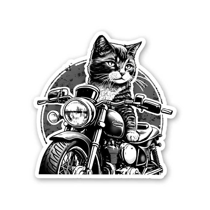 Cat Rider Sticker - Stickers | STICK IT UP