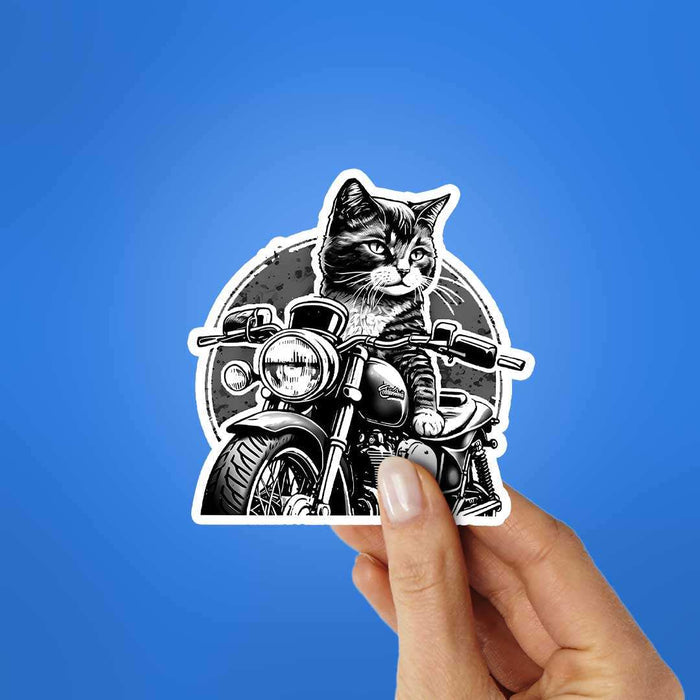 Cat Rider Sticker - Stickers | STICK IT UP