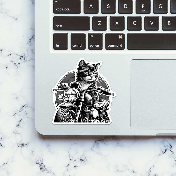 Cat Rider Sticker - Stickers | STICK IT UP