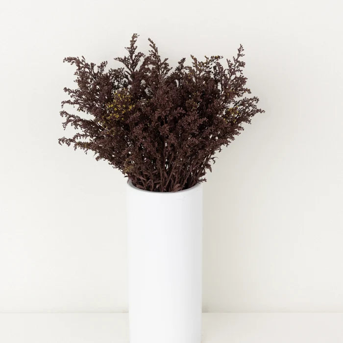 Chocolate Tinted Solidago Flowers Vase - Image