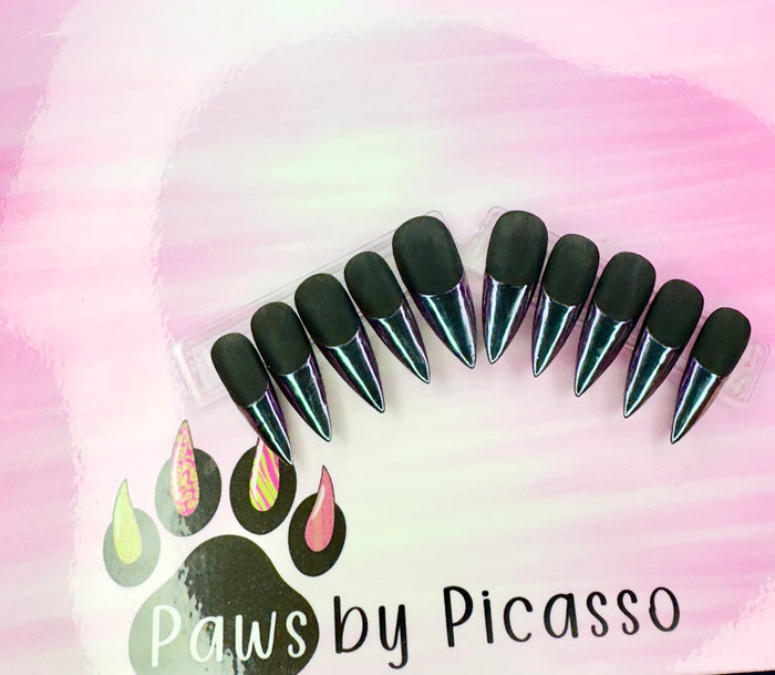Clawsy Witch - Paws By Picasso Clawsy Witch