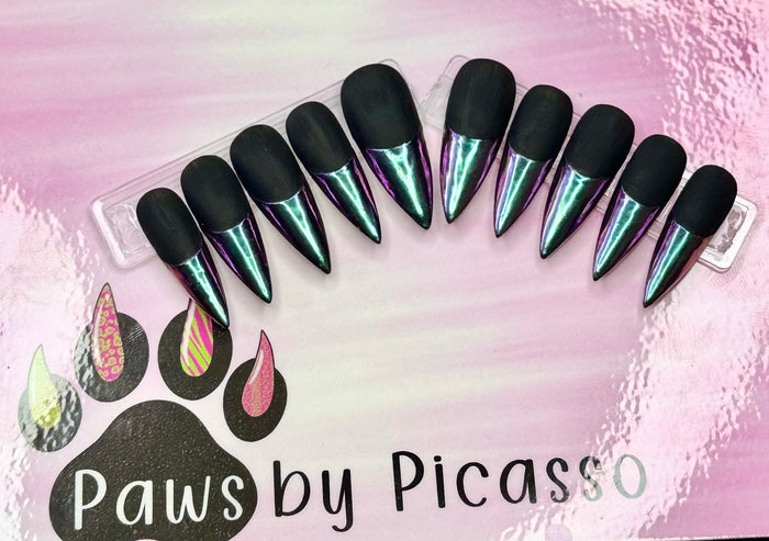 Clawsy Witch - Paws By Picasso Clawsy Witch
