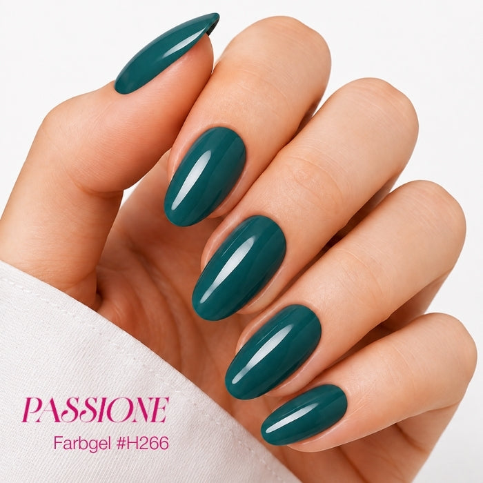 COLOR GEL DISPLAY SET - PASSIONATA