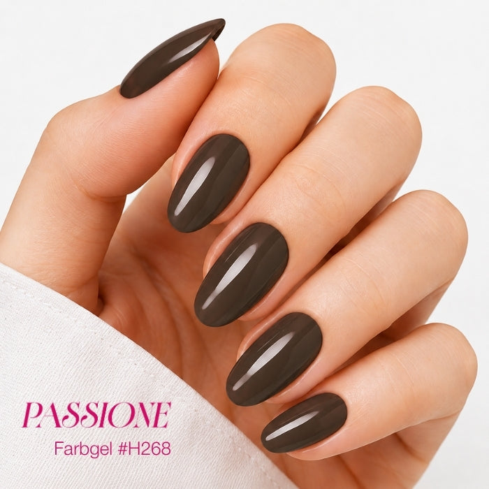COLOR GEL DISPLAY SET - PASSIONATA