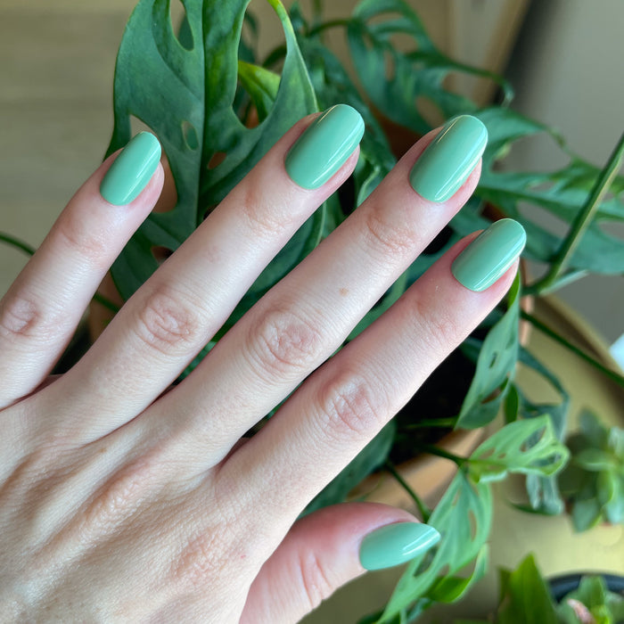 Cucumber Sandwich - Press-On | Short | Round showing hand with smooth short round green false nails by indoor leafy plant