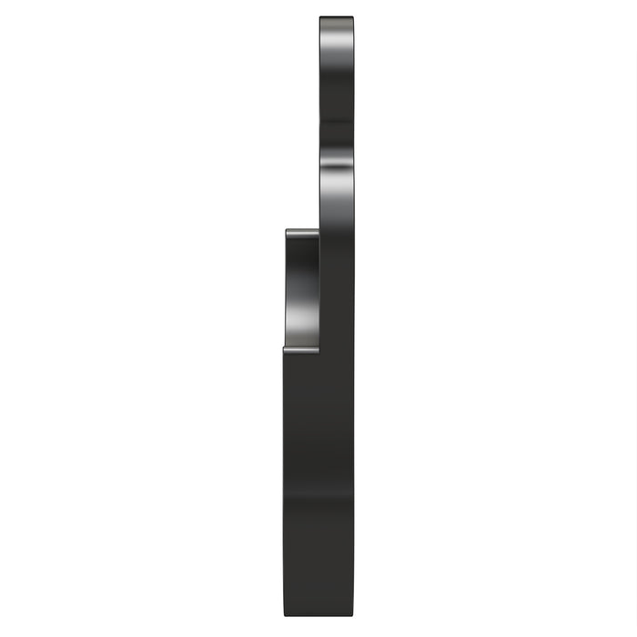 Derailleur Hanger 494 2