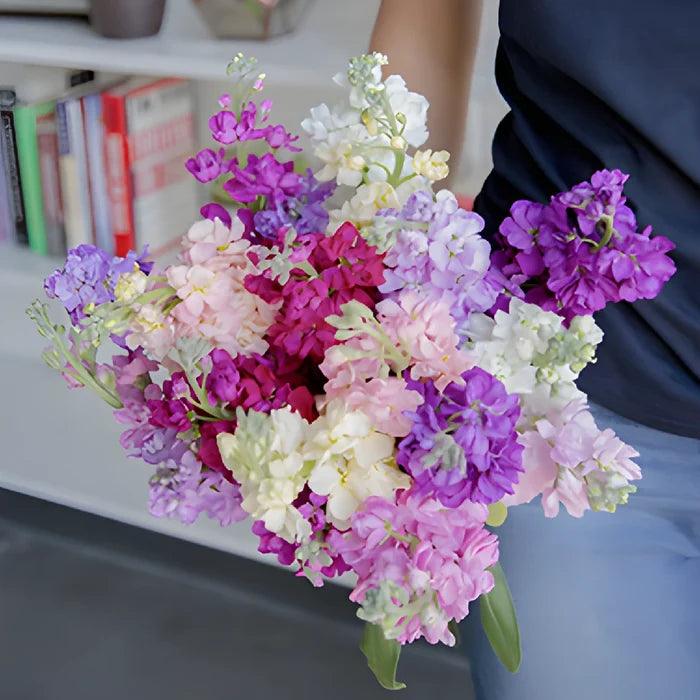 Farm Fresh Flowers For Your House Stock