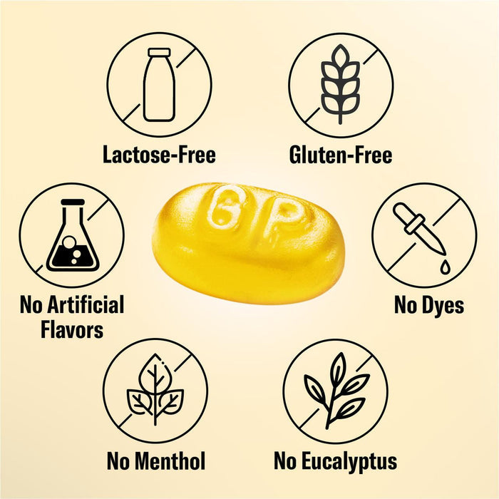Grether's Pastilles Sugarfree - Ginger Lemon