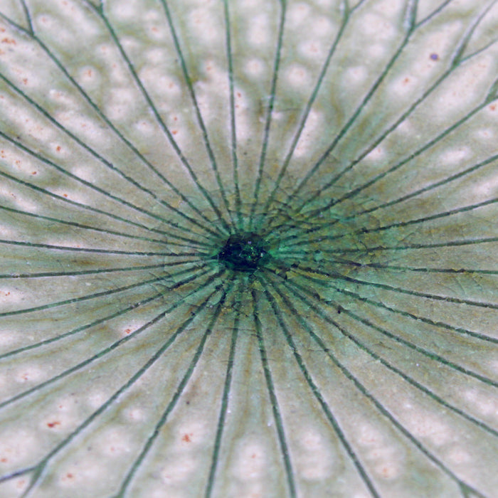 Hechimon Lotus Leaf Large Plate