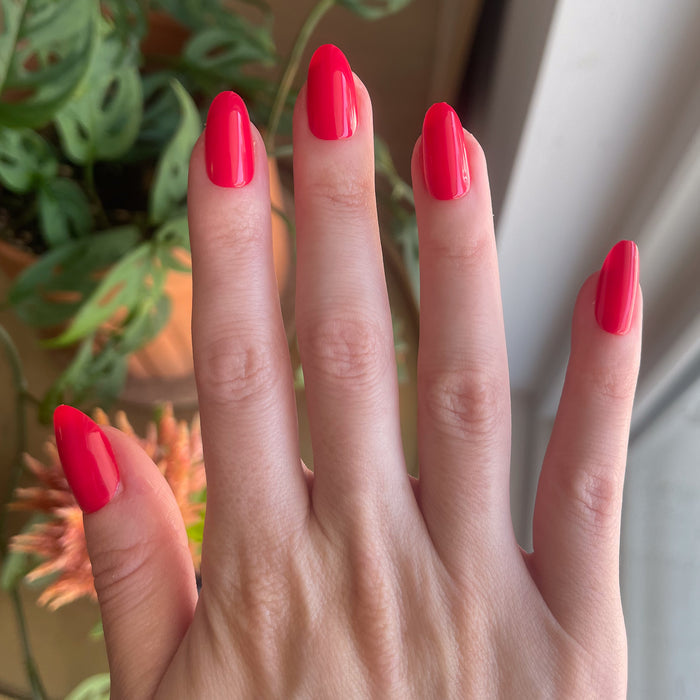 Hibiscus - Press-On | Medium | Oval showing medium oval bright tropical pink false nails on hand indoors with plants background