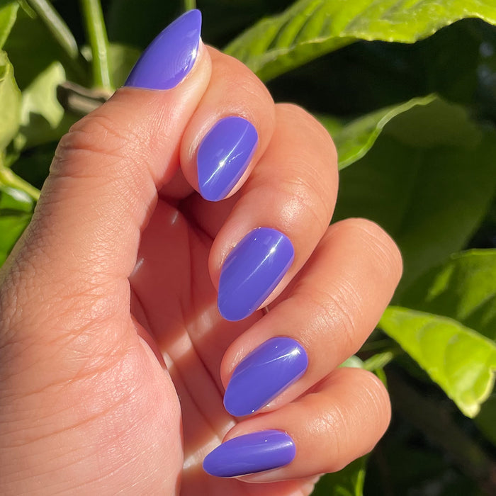 House of O&J - Press-On | Medium | Almond in deep royal purple for a stylish, easy at home manicure with false nails