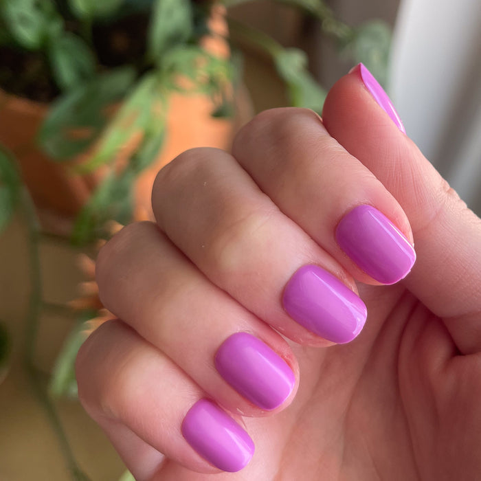 Jam, Please - Press-On | Extra Short | Squoval showing close-up of hand with glossy soft magenta false nails indoors near plants