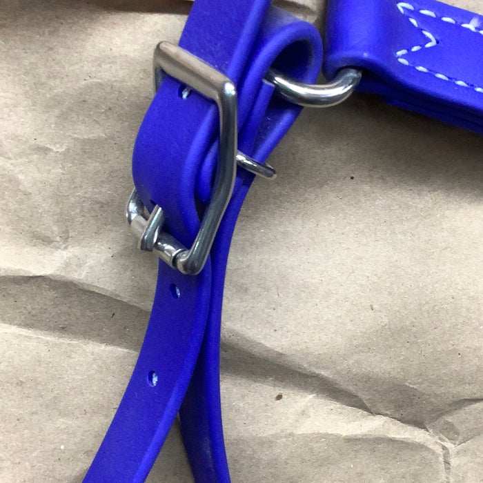 Jerry Beagley Biothane Breast Collar Blue
