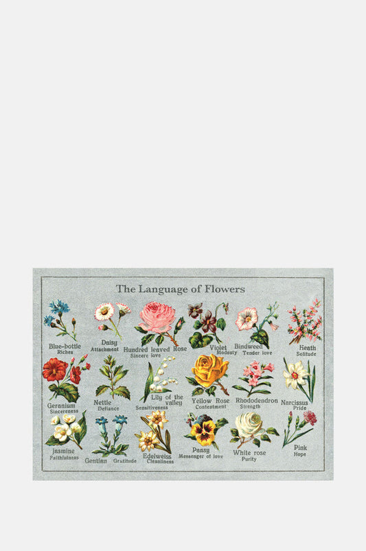The Pattern Book Language of Flowers Greeting Card.