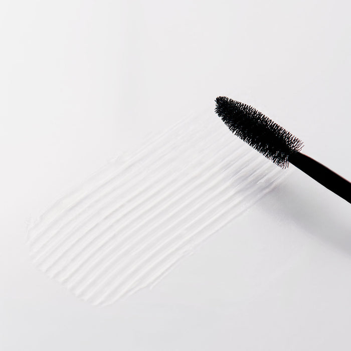 #seo: Le Touch Up Coelho Beauty