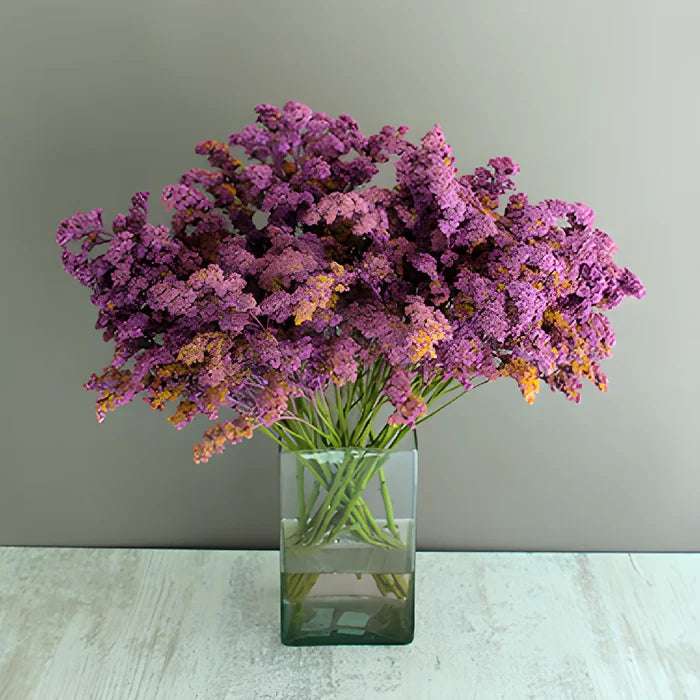 Lilac Purple Tinted Wild Solidago Flower