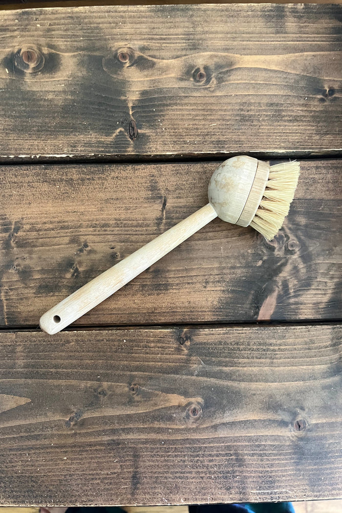 Long Handled Brush
