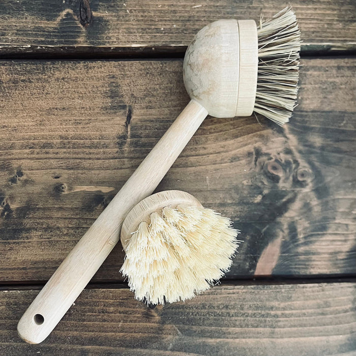 Long Handled Brush