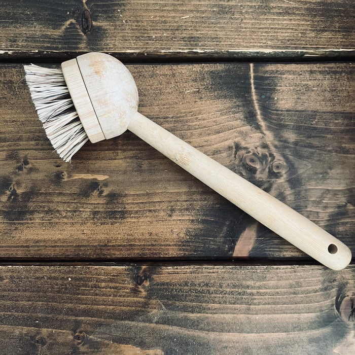 Long Handled Brush