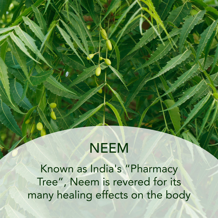 Neem and Triphala Body Oil - SUNDÃRI