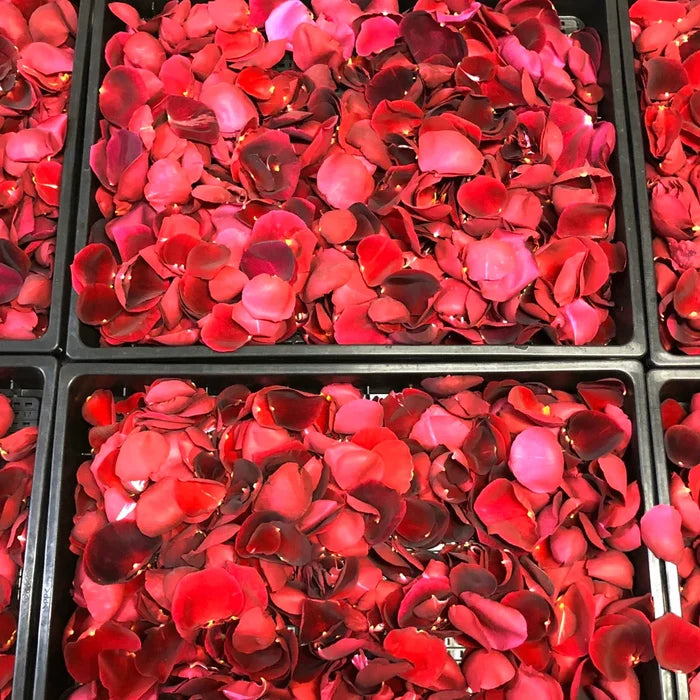 Okuizumo Rose Salt