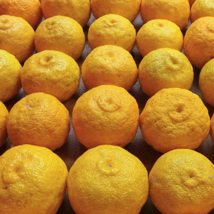 Organic Yuzu Marmalade