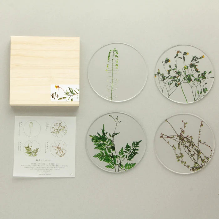 Oshibana Coaster 4-set