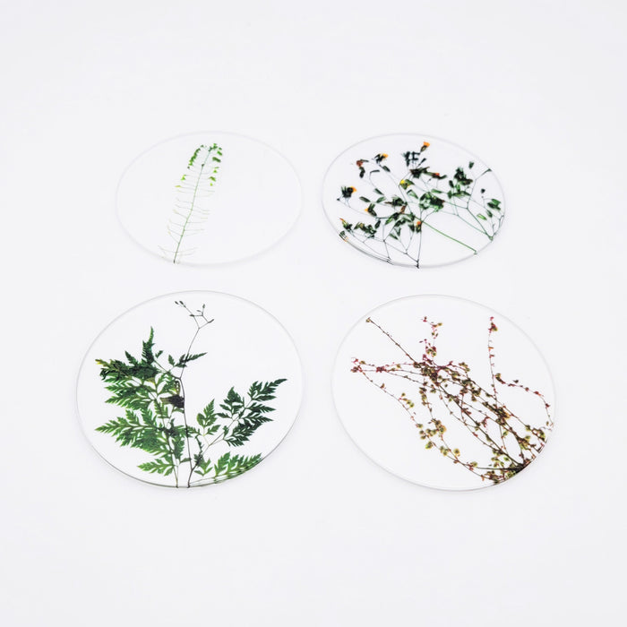 Oshibana Coaster 4-set
