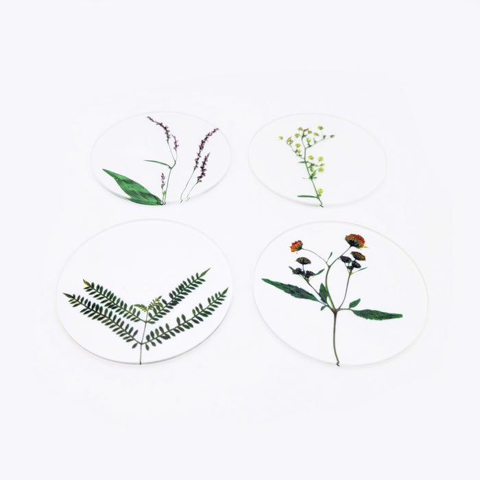 Oshibana Coaster 4-set