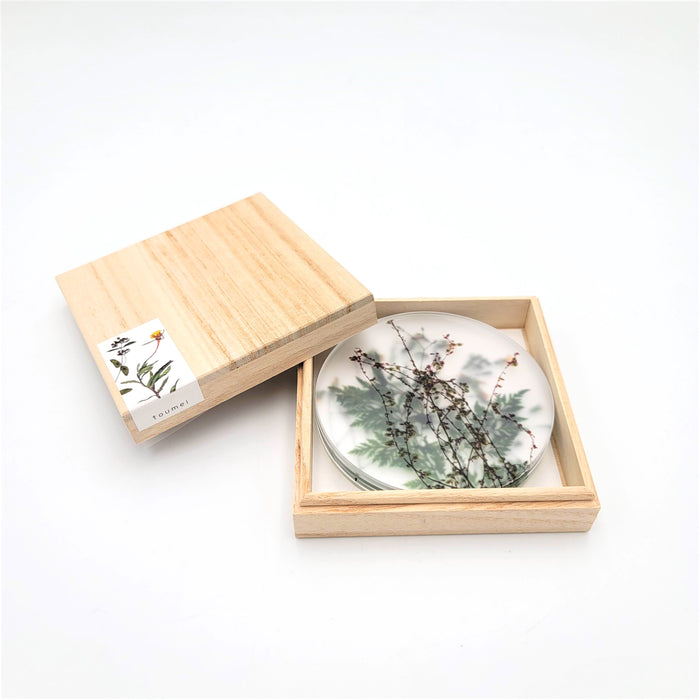Oshibana Coaster 4-set