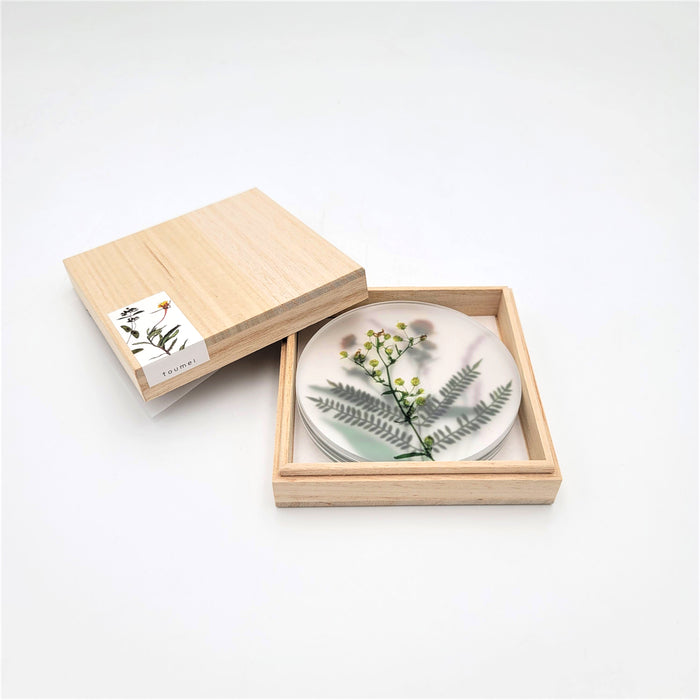 Oshibana Coaster 4-set