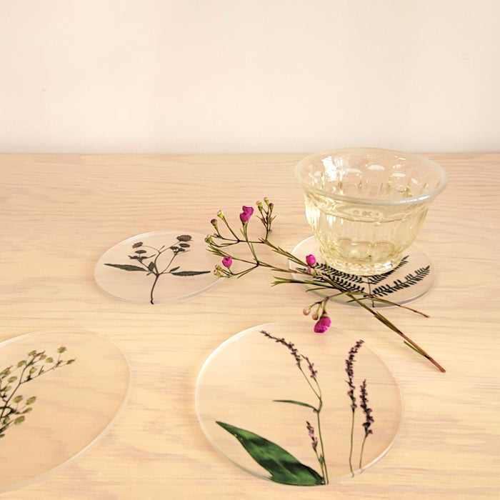 Oshibana Coaster 4-set