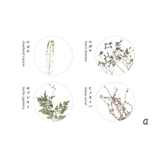 Oshibana Coaster 4-set
