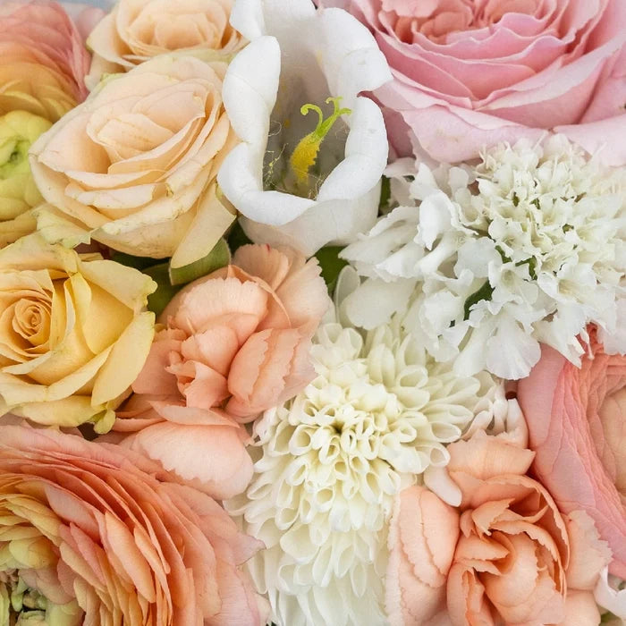 Peach Sorbet Diy Flower Kit Close Up - Image